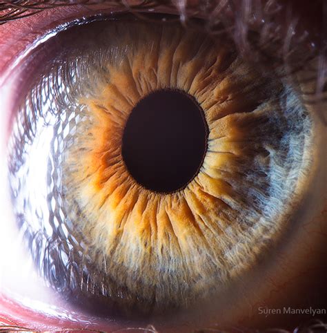 'Your Beautiful Eyes' - Amazing Close-Up Photos Of Human Eyes By Suren ...