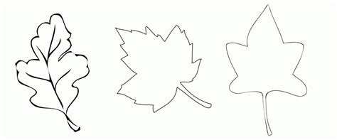 Leaf Shapes Clip Art