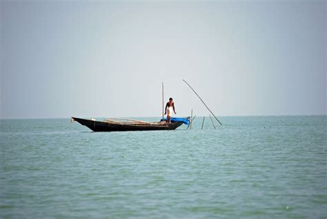 Shrimp Farming - India Travel Forum | IndiaMike.com