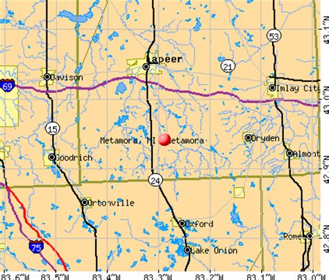 Metamora, Michigan (MI 48455) profile: population, maps, real estate ...