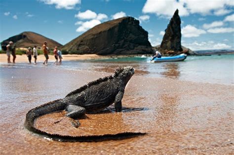 👍 Lo que Debes Saber para Visitar las Islas Galápagos Ecuador - Destinos Turisticos