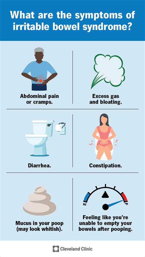 Irritable Bowel Syndrome (IBS): Symptoms, Causes & Treatment