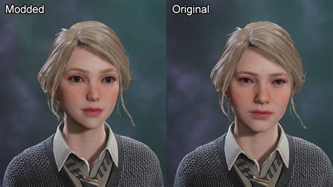 Pretty Face (Custom Face) at Hogwarts Legacy Nexus - Mods and community