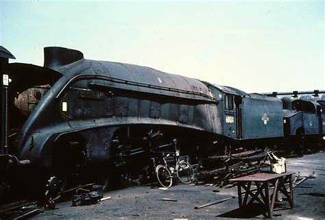 LNER Class A4 2509 'Silver Link' | Locomotive Wiki | Fandom powered by Wikia