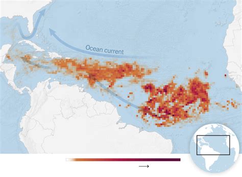 Those Seaweed Blobs Headed for Florida? See How Big They Are. - The New ...