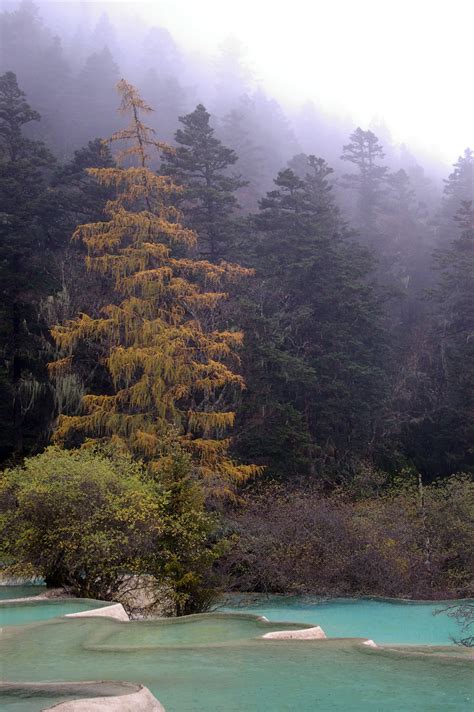 Free Stock photo of Geothermal pools in a forest in China | Photoeverywhere