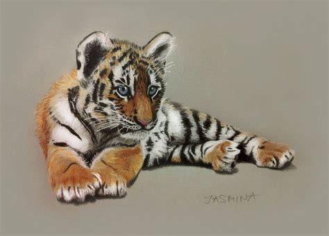 Tiger Cub - Colored Pencils Drawing by JasminaSusak on DeviantArt ...