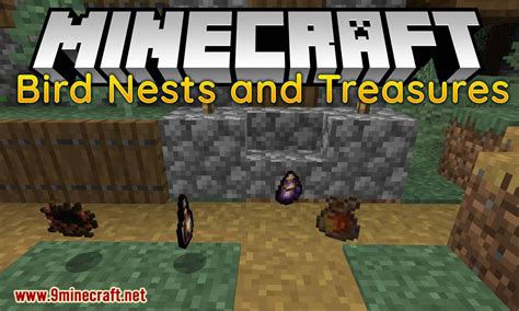 Bird Nests and Treasures Mod (1.16.5, 1.15.2) - Random Collectable Treasure - 9Minecraft.Net