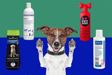 Top 9 Itchy Skin Dog Shampoos for 2023 – Pamper Your Pup! – Caring Canine Companions: Your Guide ...