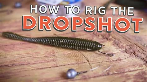 Drop Shot Rig: How To Rig the Drop Shot (Tutorial) - YouTube