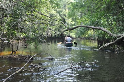 Little Pee Dee River