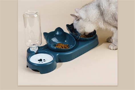 Self-Watering Dog Bowl Deal - Wowcher