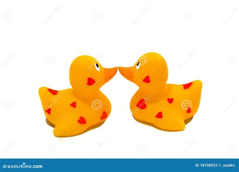 Two Ducks Kiss Stock Photography - Image: 18738922