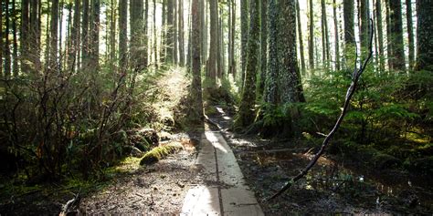 Tillamook Head Hike - Ecola State Park - hiking in Oregon