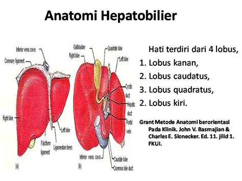 Hati Manusia