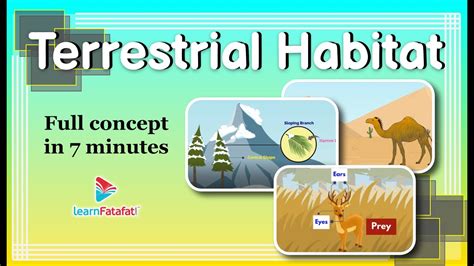 Terrestrial Habitat