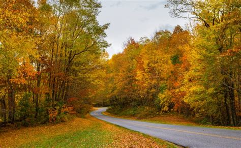 Fall In North Carolina 2023: 15 Best Places For Fall Colors - Southern ...