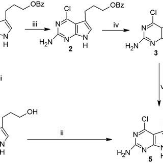 Mechanism for the monochlorination reaction. | Download Scientific Diagram