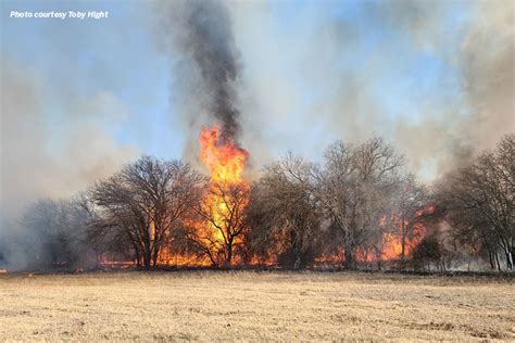 TFB establishes West Texas Wildfire Relief Fund - Texas Farm Bureau