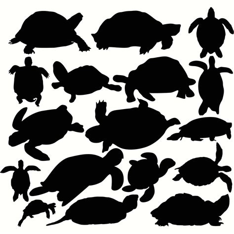 Turtle In Silhouette Vector File Set 10570880 Vector Art at Vecteezy