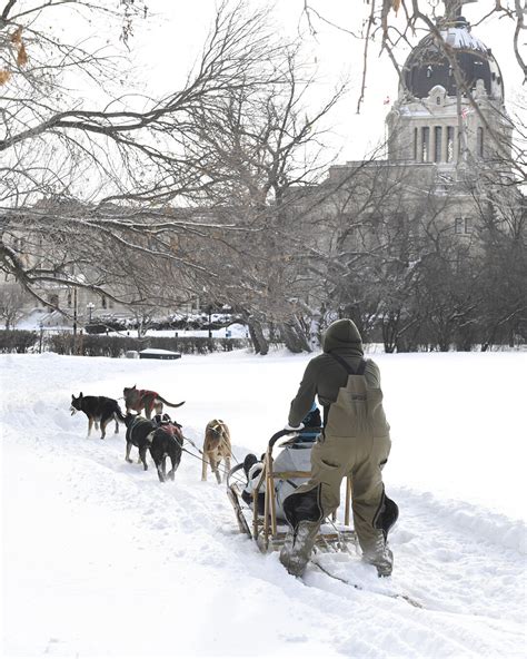 Winter Fun in Saskatchewan: Events, Festivals and Outdoor Adventures