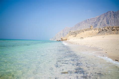 "Gulf of Oman Uncovered: Diving into Marine Marvels and Coral Kingdoms 🐠🐚"