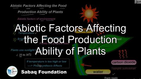 Abiotic Factors Affecting the Food Production Ability of Plants, General Science Lecture | Sabaq ...