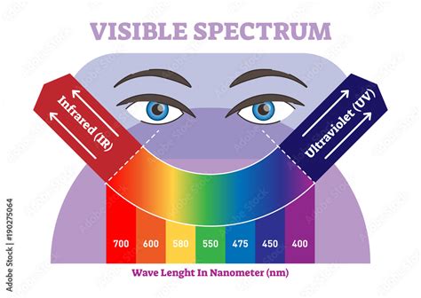 Visible spectrum vector illustration diagram, color scheme from ...