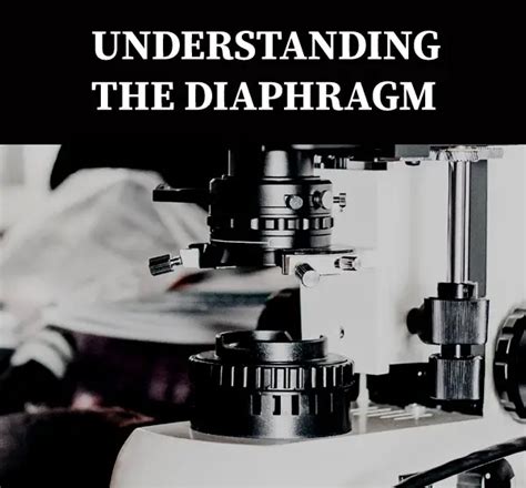 Understanding and Adjusting Your Microscope Diaphragm - 3DBiology.com