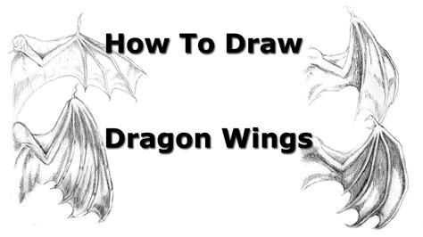 How To Draw Dragon Wings Folded