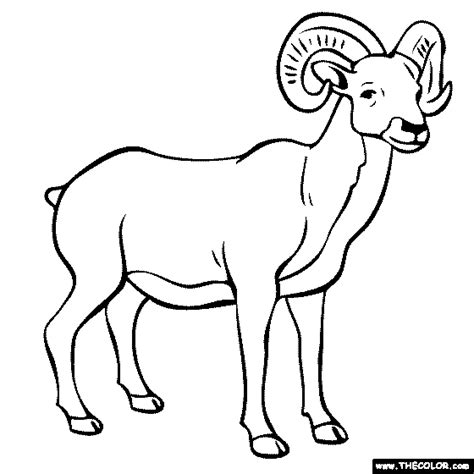 Ram Coloring Page