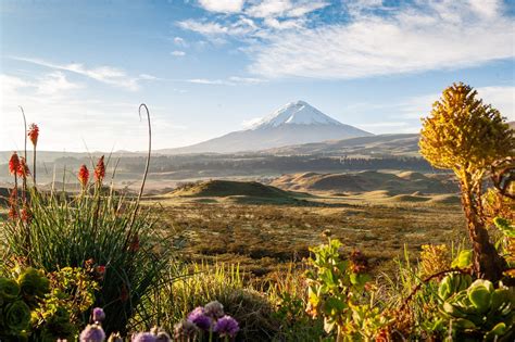 4 Great Ways To Visit Cotopaxi National Park From Quito