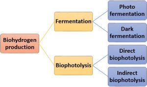 What is Biohydrogen? Definition, Production & Factors Affecting - Biology Reader