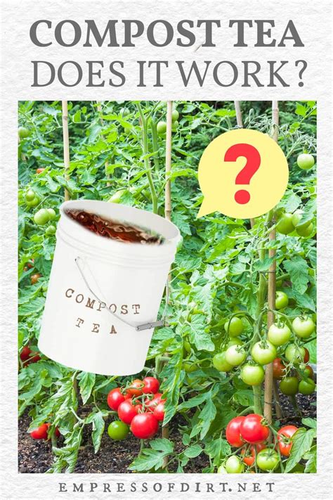 Compost Versus Compost Tea: Which is Better? — Empress of Dirt