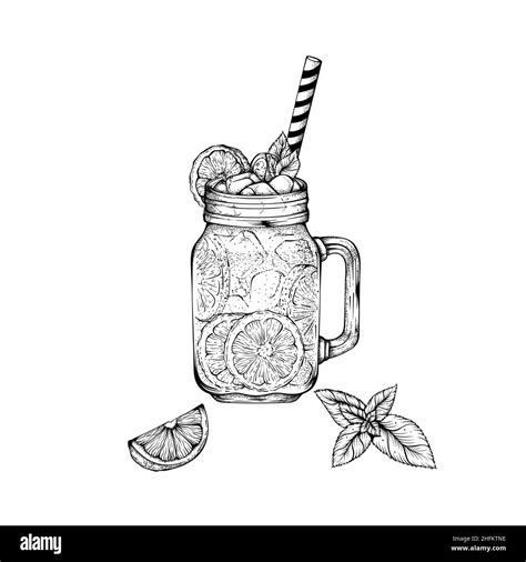 Black Engraved Fruit Tea, Healthy Drink Graphic Isolated Illustration Stock Vector Image & Art ...