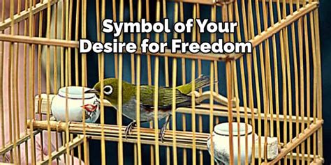 Caged Bird Symbolism, Meaning, and Totem | Complete Explanation