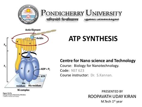 Atp synthesis