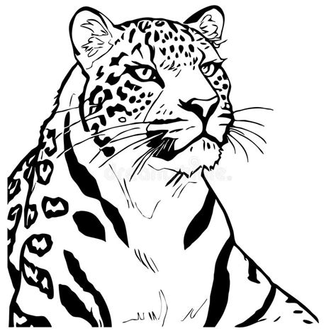 Leopard . Line Art. Logo Design for Use in Graphics. T-shirt Print, Tattoo Design Stock Vector ...