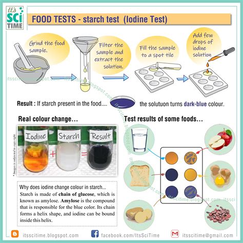 Worksheet For Starch Science Experiment