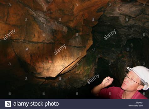 Creswell Crags Cave Art Stock Photos & Creswell Crags Cave Art Stock ...