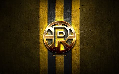 Download wallpapers Providence Bruins, golden logo, AHL, yellow metal ...