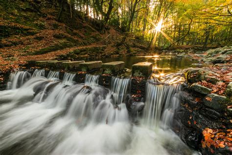 Tollymore Forest Park | An autumn afternoon at Tollymore For… | Flickr