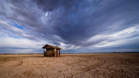 Trashed farmland could be a conservation treasure