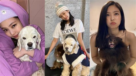 Jennie, Kai and Kuma Moments 🥰 - YouTube