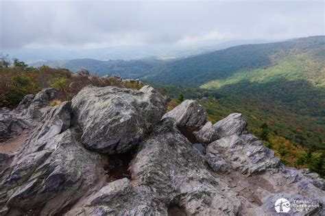 Hiking in Grayson Highlands State Park, Virginia - Travel. Experience. Live.