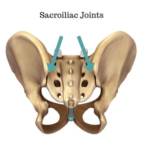 The Sacroiliac Joint: 5 Things We Didn’t Learn in Yoga Teacher Training