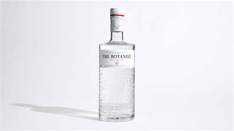 Best Gin: Top 5 Bottles Most Recommended By Experts - Study Finds