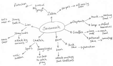 OLCreate: TESSA_ZIM Module 1: Secondary Science - Biology: Resource 2: Example of a mind map