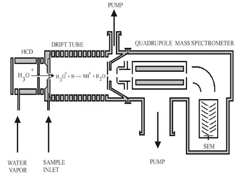 7 – Schematic diagram of the proton transfer reaction mass spectrometry... | Download Scientific ...