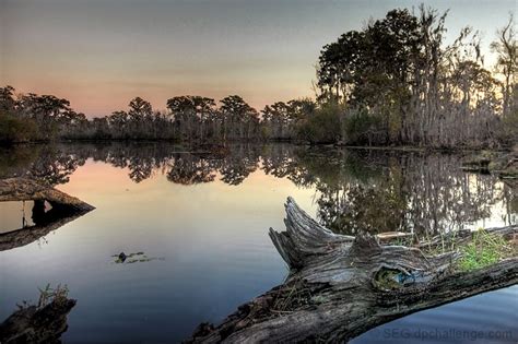 Louisiana - Sportsman Paradise by SEG - DPChallenge